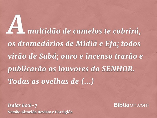 A multidão de camelos te cobrirá, os dromedários de Midiã e Efa; todos virão de Sabá; ouro e incenso trarão e publicarão os louvores do SENHOR.Todas as ovelhas 