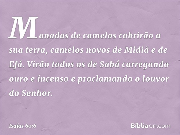 Manadas de camelos cobrirão a sua terra,
camelos novos de Midiã e de Efá.
Virão todos os de Sabá
carregando ouro e incenso
e proclamando o louvor do Senhor. -- 