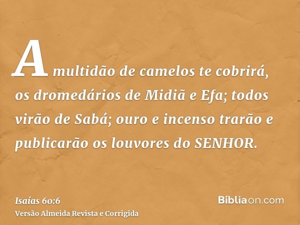 A multidão de camelos te cobrirá, os dromedários de Midiã e Efa; todos virão de Sabá; ouro e incenso trarão e publicarão os louvores do SENHOR.