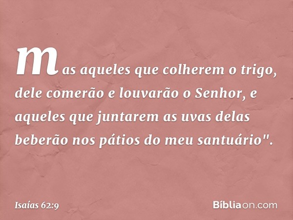 mas aqueles que colherem o trigo,
dele comerão
e louvarão o Senhor,
e aqueles que juntarem as uvas
delas beberão
nos pátios do meu santuário". -- Isaías 62:9