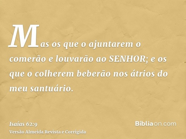 Mas os que o ajuntarem o comerão e louvarão ao SENHOR; e os que o colherem beberão nos átrios do meu santuário.