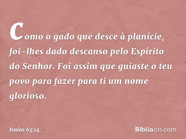 como o gado que desce à planície,
foi-lhes dado descanso
pelo Espírito do Senhor.
Foi assim que guiaste o teu povo
para fazer para ti um nome glorioso. -- Isaía