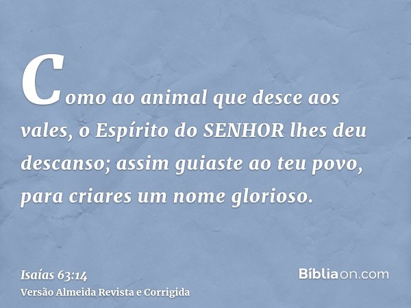 Como ao animal que desce aos vales, o Espírito do SENHOR lhes deu descanso; assim guiaste ao teu povo, para criares um nome glorioso.