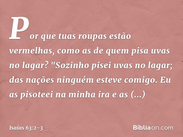 Por que tuas roupas estão vermelhas,
como as de quem pisa uvas no lagar? "Sozinho pisei uvas no lagar;
das nações ninguém esteve comigo.
Eu as pisoteei na minha