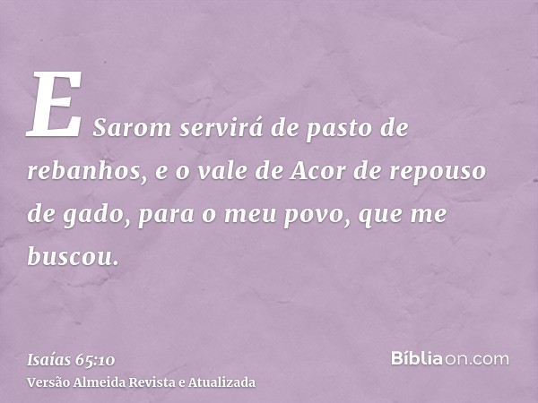 E Sarom servirá de pasto de rebanhos, e o vale de Acor de repouso de gado, para o meu povo, que me buscou.