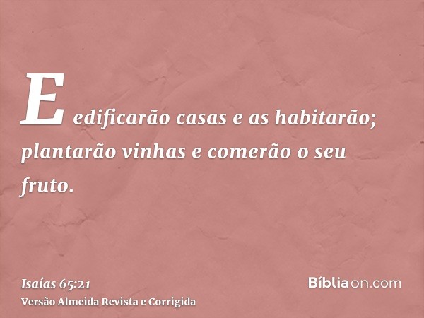 E edificarão casas e as habitarão; plantarão vinhas e comerão o seu fruto.