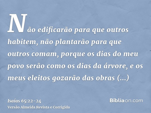 Não edificarão para que outros habitem, não plantarão para que outros comam, porque os dias do meu povo serão como os dias da árvore, e os meus eleitos gozarão 