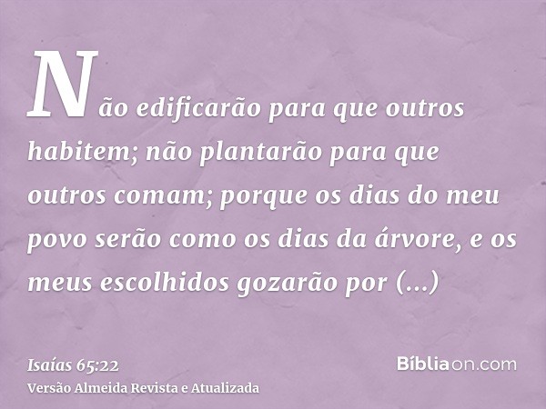 Não edificarão para que outros habitem; não plantarão para que outros comam; porque os dias do meu povo serão como os dias da árvore, e os meus escolhidos gozar