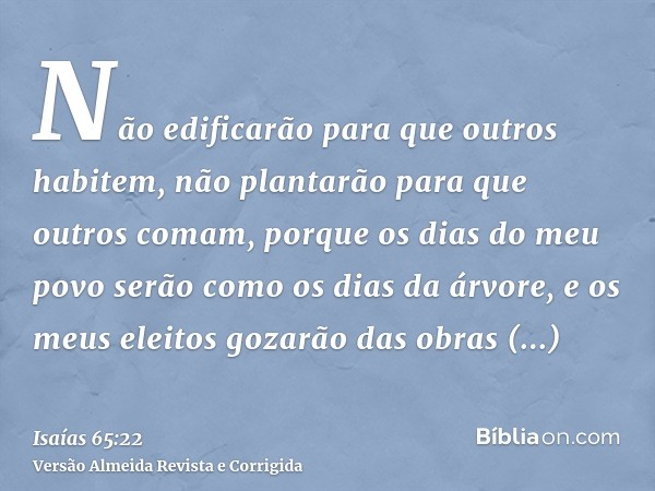 Não edificarão para que outros habitem, não plantarão para que outros comam, porque os dias do meu povo serão como os dias da árvore, e os meus eleitos gozarão 