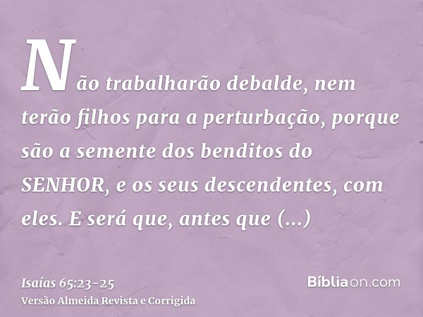 Não trabalharão debalde, nem terão filhos para a perturbação, porque são a semente dos benditos do SENHOR, e os seus descendentes, com eles.E será que, antes qu