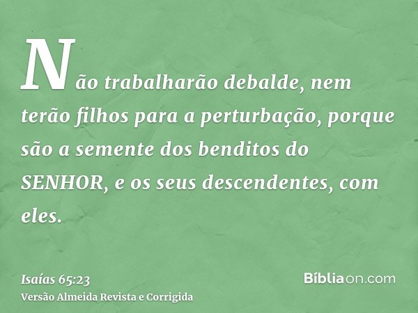 Não trabalharão debalde, nem terão filhos para a perturbação, porque são a semente dos benditos do SENHOR, e os seus descendentes, com eles.