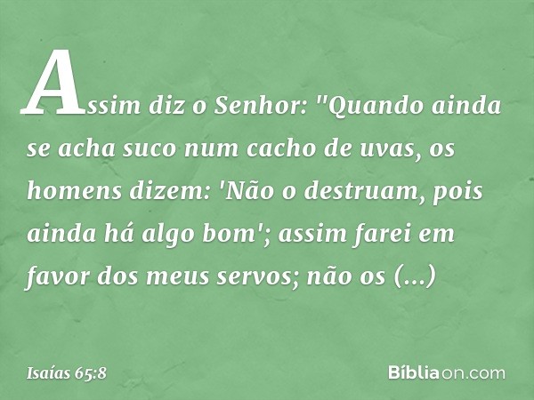 Assim diz o Senhor:
"Quando ainda se acha suco
num cacho de uvas,
os homens dizem: 'Não o destruam,
pois ainda há algo bom';
assim farei em favor dos meus servo