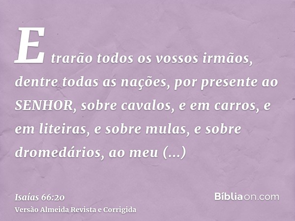 E trarão todos os vossos irmãos, dentre todas as nações, por presente ao SENHOR, sobre cavalos, e em carros, e em liteiras, e sobre mulas, e sobre dromedários, 