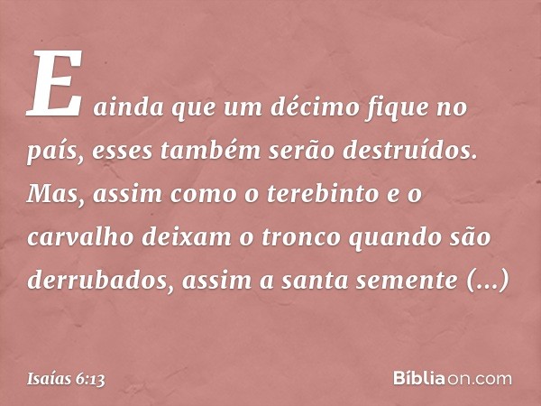 E ainda que um décimo fique no país,
esses também serão destruídos.
Mas, assim como o terebinto e o carvalho
deixam o tronco quando são derrubados,
assim a sant