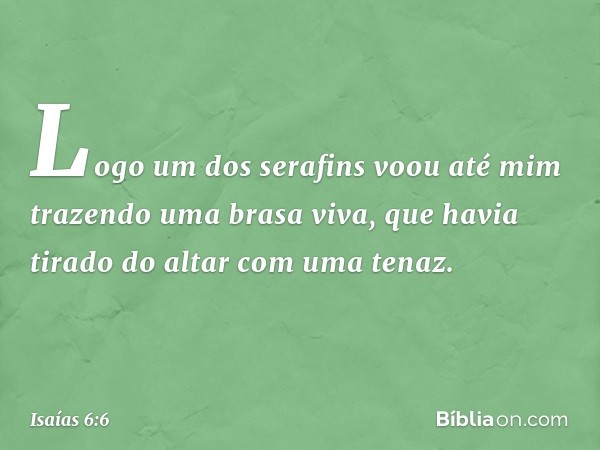 Logo um dos serafins voou até mim trazendo uma brasa viva, que havia tirado do altar com uma tenaz. -- Isaías 6:6