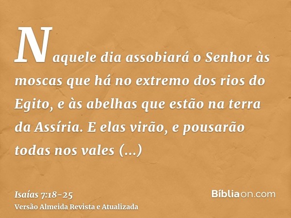 Naquele dia assobiará o Senhor às moscas que há no extremo dos rios do Egito, e às abelhas que estão na terra da Assíria.E elas virão, e pousarão todas nos vale