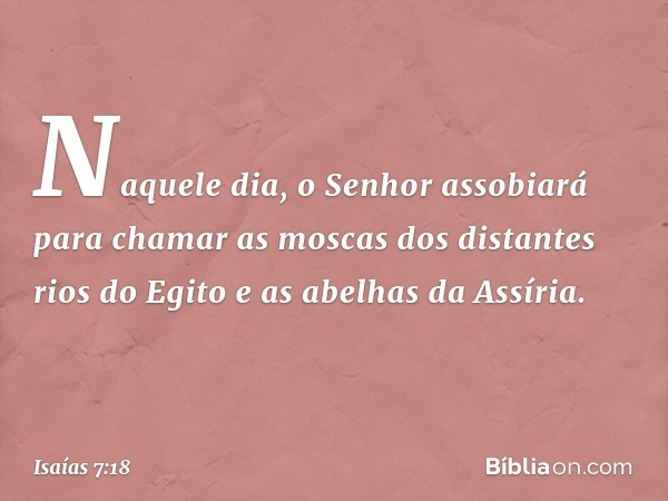 Naquele dia, o Senhor assobiará para chamar as moscas dos distantes rios do Egito e as abelhas da Assíria. -- Isaías 7:18