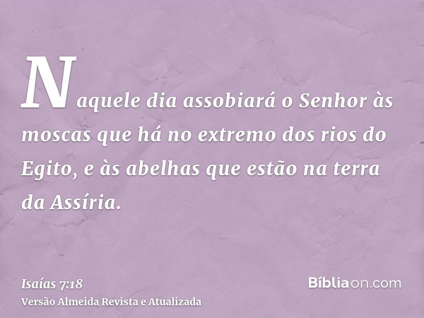 Naquele dia assobiará o Senhor às moscas que há no extremo dos rios do Egito, e às abelhas que estão na terra da Assíria.