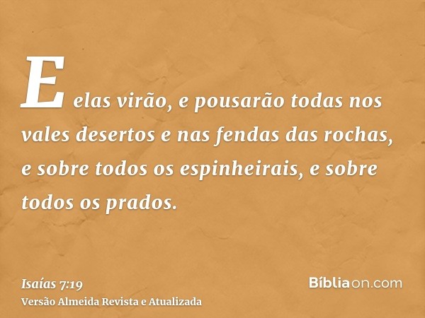 E elas virão, e pousarão todas nos vales desertos e nas fendas das rochas, e sobre todos os espinheirais, e sobre todos os prados.