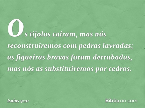 "Os tijolos caíram,
mas nós reconstruiremos
com pedras lavradas;
as figueiras bravas foram derrubadas,
mas nós as substituiremos por cedros". -- Isaías 9:10