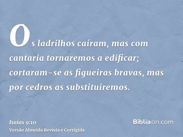 Os ladrilhos caíram, mas com cantaria tornaremos a edificar; cortaram-se as figueiras bravas, mas por cedros as substituiremos.