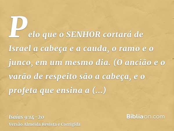 Pelo que o SENHOR cortará de Israel a cabeça e a cauda, o ramo e o junco, em um mesmo dia.(O ancião e o varão de respeito são a cabeça, e o profeta que ensina a