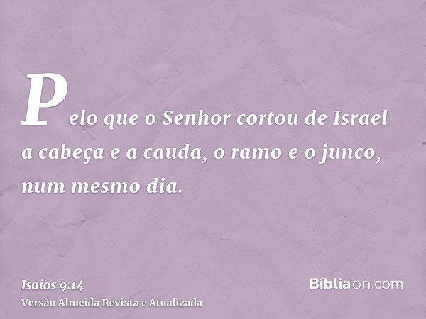 Pelo que o Senhor cortou de Israel a cabeça e a cauda, o ramo e o junco, num mesmo dia.