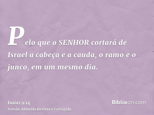 Pelo que o SENHOR cortará de Israel a cabeça e a cauda, o ramo e o junco, em um mesmo dia.