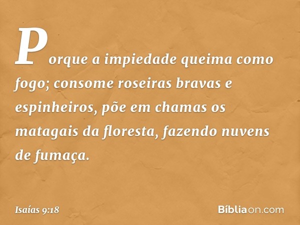 Porque a impiedade queima como fogo;
consome roseiras bravas e espinheiros,
põe em chamas os matagais da floresta,
fazendo nuvens de fumaça. -- Isaías 9:18