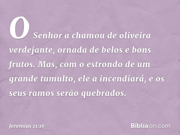 O Senhor a chamou
de oliveira verdejante,
ornada de belos e bons frutos.
Mas, com o estrondo
de um grande tumulto,
ele a incendiará,
e os seus ramos serão quebr