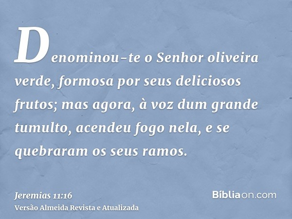 Denominou-te o Senhor oliveira verde, formosa por seus deliciosos frutos; mas agora, à voz dum grande tumulto, acendeu fogo nela, e se quebraram os seus ramos.