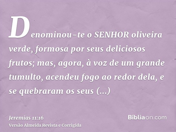 Denominou-te o SENHOR oliveira verde, formosa por seus deliciosos frutos; mas, agora, à voz de um grande tumulto, acendeu fogo ao redor dela, e se quebraram os 