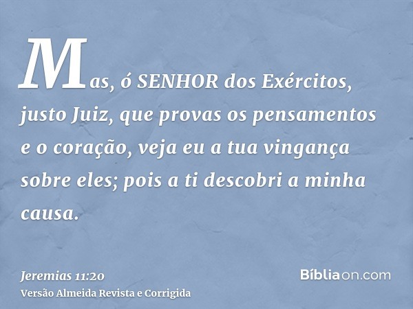 Mas, ó SENHOR dos Exércitos, justo Juiz, que provas os pensamentos e o coração, veja eu a tua vingança sobre eles; pois a ti descobri a minha causa.
