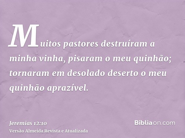 Muitos pastores destruíram a minha vinha, pisaram o meu quinhão; tornaram em desolado deserto o meu quinhão aprazível.