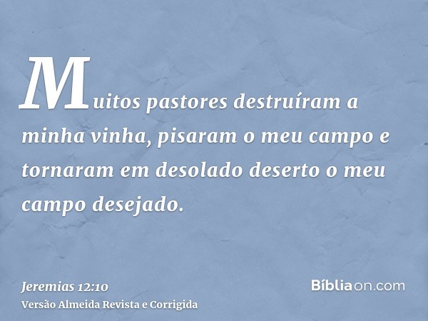 Muitos pastores destruíram a minha vinha, pisaram o meu campo e tornaram em desolado deserto o meu campo desejado.