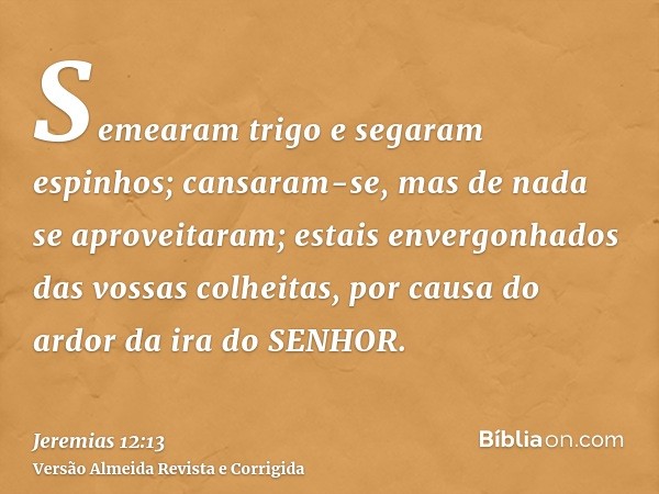 Semearam trigo e segaram espinhos; cansaram-se, mas de nada se aproveitaram; estais envergonhados das vossas colheitas, por causa do ardor da ira do SENHOR.
