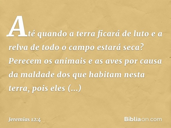 Até quando a terra ficará de luto
e a relva de todo o campo estará seca?
Perecem os animais e as aves
por causa da maldade
dos que habitam nesta terra,
pois ele