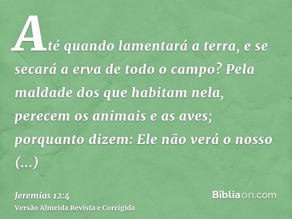 Até quando lamentará a terra, e se secará a erva de todo o campo? Pela maldade dos que habitam nela, perecem os animais e as aves; porquanto dizem: Ele não verá