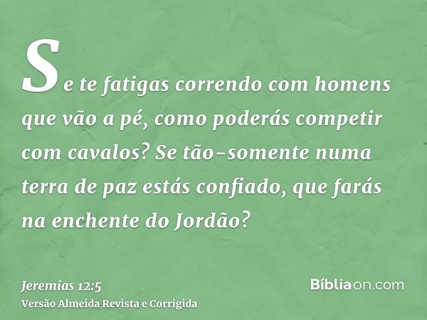 Se te fatigas correndo com homens que vão a pé, como poderás competir com cavalos? Se tão-somente numa terra de paz estás confiado, que farás na enchente do Jor