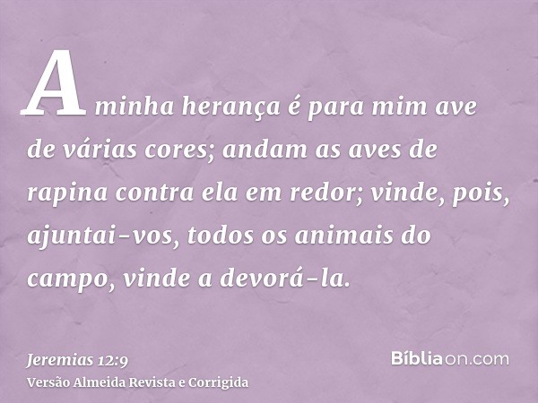 A minha herança é para mim ave de várias cores; andam as aves de rapina contra ela em redor; vinde, pois, ajuntai-vos, todos os animais do campo, vinde a devorá