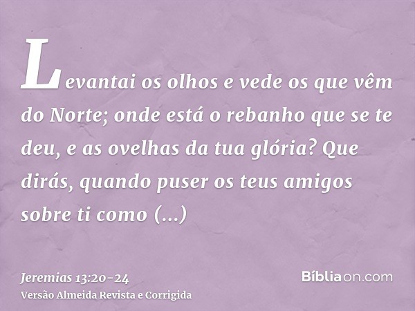 Levantai os olhos e vede os que vêm do Norte; onde está o rebanho que se te deu, e as ovelhas da tua glória?Que dirás, quando puser os teus amigos sobre ti como