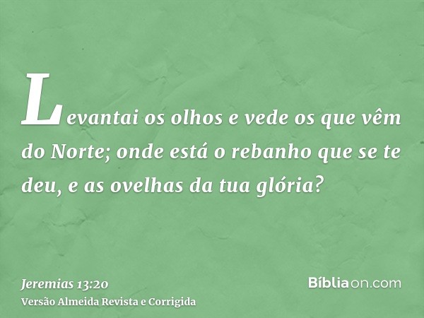 Levantai os olhos e vede os que vêm do Norte; onde está o rebanho que se te deu, e as ovelhas da tua glória?