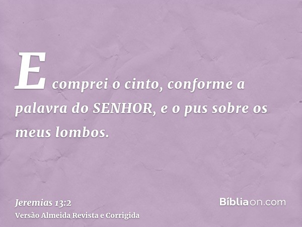 E comprei o cinto, conforme a palavra do SENHOR, e o pus sobre os meus lombos.