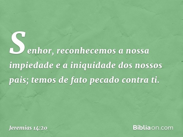 Senhor, reconhecemos
a nossa impiedade
e a iniquidade dos nossos pais;
temos de fato pecado contra ti. -- Jeremias 14:20