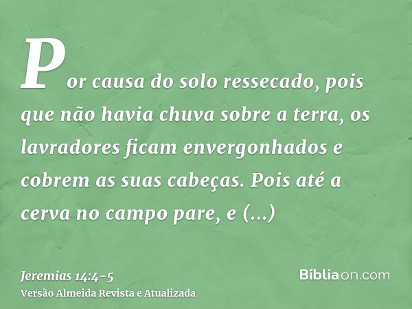 Por causa do solo ressecado, pois que não havia chuva sobre a terra, os lavradores ficam envergonhados e cobrem as suas cabeças.Pois até a cerva no campo pare, 