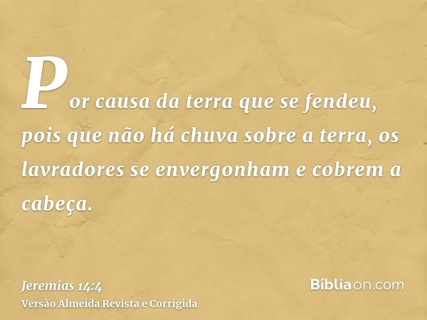 Por causa da terra que se fendeu, pois que não há chuva sobre a terra, os lavradores se envergonham e cobrem a cabeça.