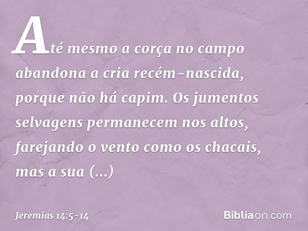 Até mesmo a corça no campo
abandona a cria recém-nascida,
porque não há capim. Os jumentos selvagens
permanecem nos altos,
farejando o vento como os chacais,
ma