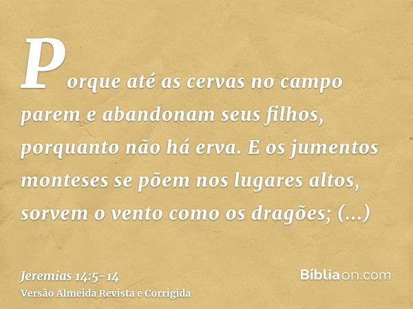 Porque até as cervas no campo parem e abandonam seus filhos, porquanto não há erva.E os jumentos monteses se põem nos lugares altos, sorvem o vento como os drag