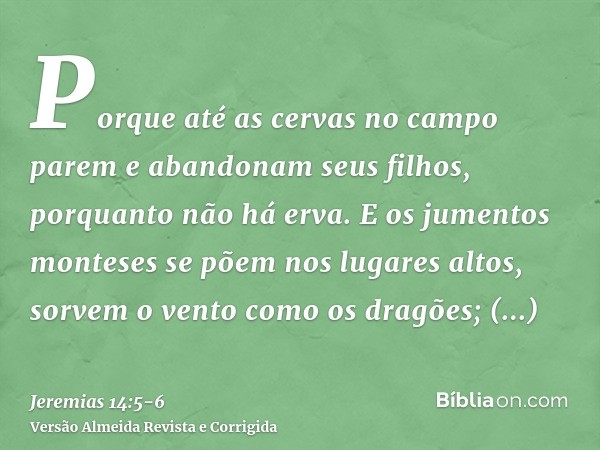 Porque até as cervas no campo parem e abandonam seus filhos, porquanto não há erva.E os jumentos monteses se põem nos lugares altos, sorvem o vento como os drag