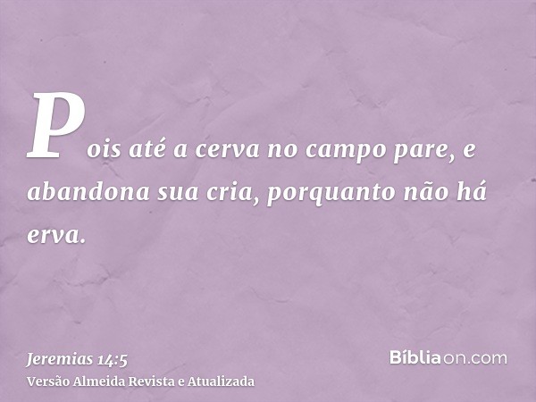 Pois até a cerva no campo pare, e abandona sua cria, porquanto não há erva.